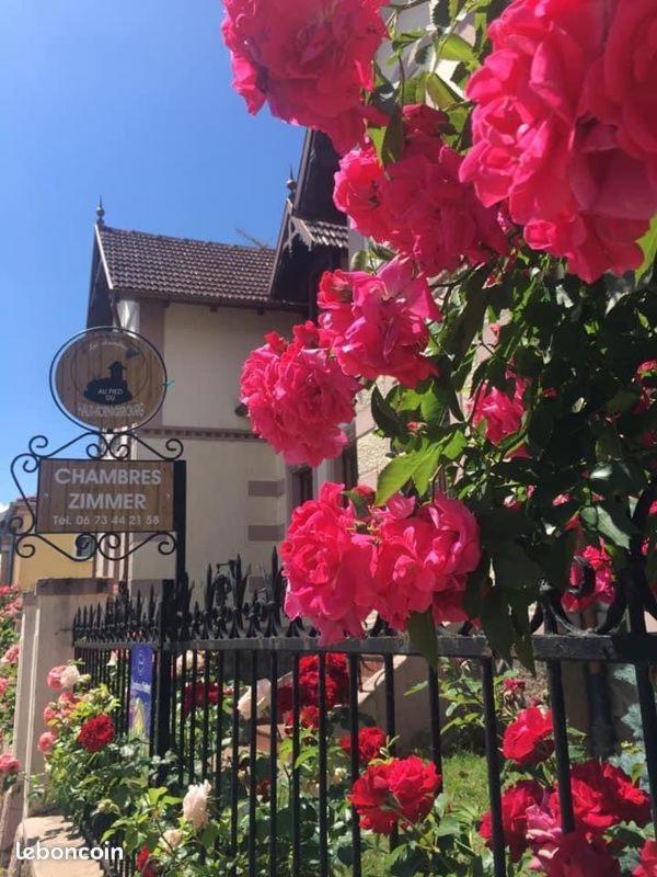 Gites Au Pied Du Haut-Koenigsbourg Kintzheim Exterior foto